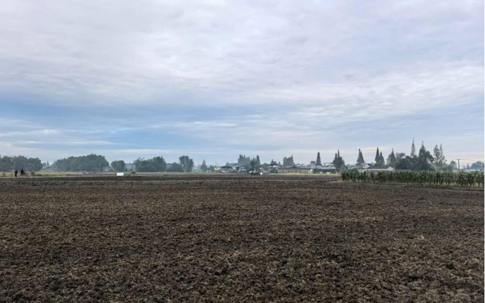 四川省成都市2024年大邑县新场镇、安仁镇高尺度农...